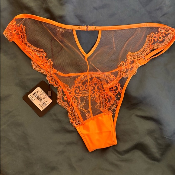NWT Sold Out Honey Birdette brief - Picture 5 of 6